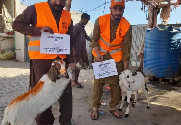 Goat Sadaqah Jariyah — £50