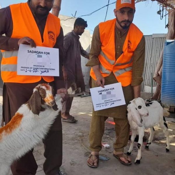 Goat Sadaqah