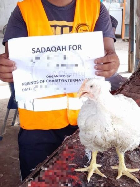 Chicken Sadaqah